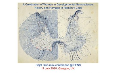 MC07: A Celebration of Women in Developmental Neuroscience (Cajal Club)