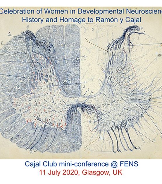 FENS Forum of Neuroscience, Mini Conference, Cajal Club
